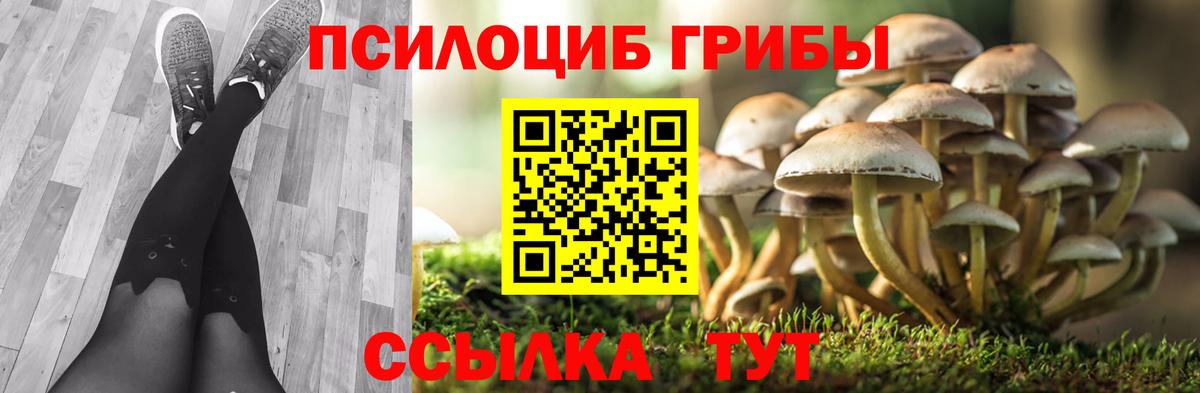 Псилоцибиновые грибы Psilocybine cubensis Алатырь